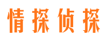 中方市侦探公司